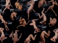 Claudia Rogge