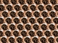 Claudia Rogge