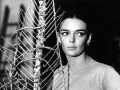 Barbara Steele, Foto di Elisabetta catalano, © Archivio Elisabetta Catalano